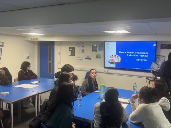 Highams Park Sixth Form and MHST partnership